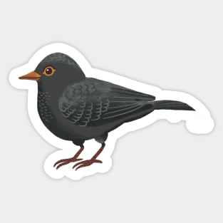 Black bird Sticker
